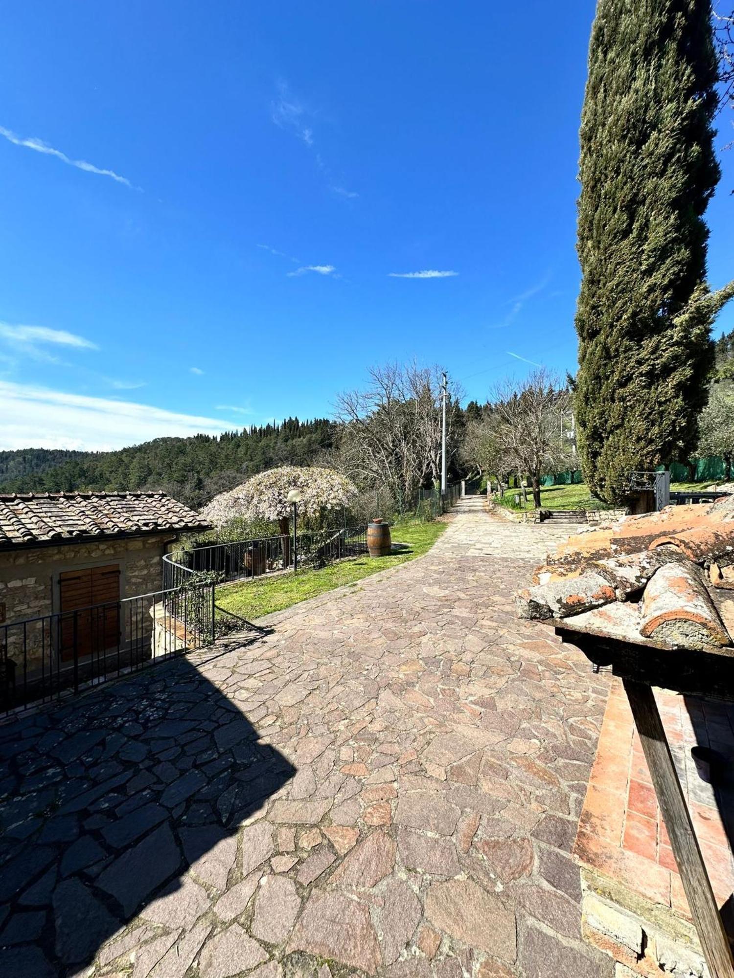 Agriturismo Tassinaia Понтассьєве Екстер'єр фото